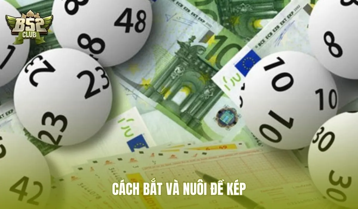 Cách bắt đề kép với dàn gọn và nhịp theo dõi
